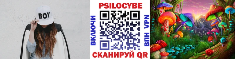 Псилоцибиновые грибы MAGIC MUSHROOMS где продают наркотики Удомля