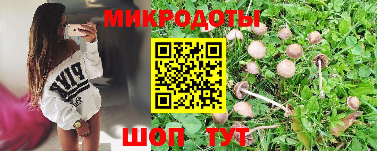 Галлюциногенные грибы мицелий Удомля